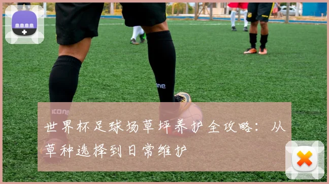 世界杯足球场草坪养护全攻略：从草种选择到日常维护