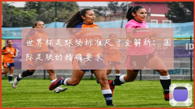 世界杯足球场标准尺寸全解析：国际足联的精确要求
