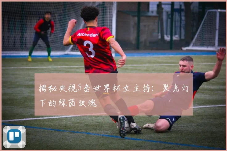 揭秘央视5套世界杯女主持：聚光灯下的绿茵玫瑰