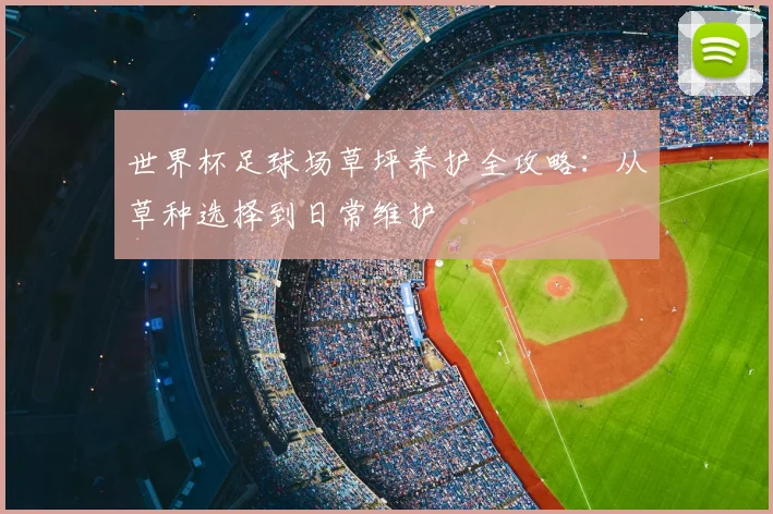 世界杯足球场草坪养护全攻略：从草种选择到日常维护