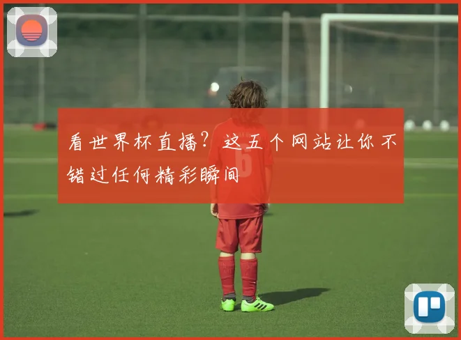 看世界杯直播?这五个网站让你不错过任何精彩瞬间