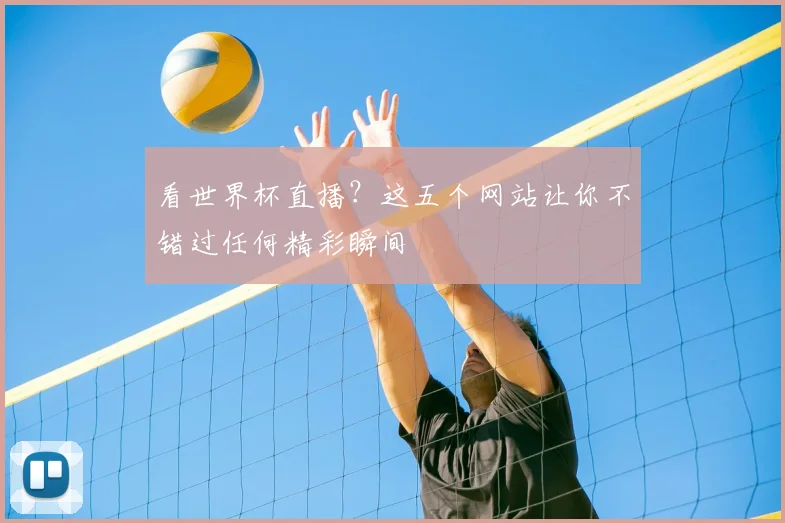 看世界杯直播?这五个网站让你不错过任何精彩瞬间
