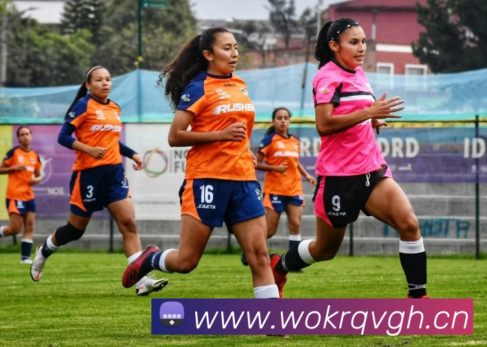 ts米兰官网入口APP 高清赛事图