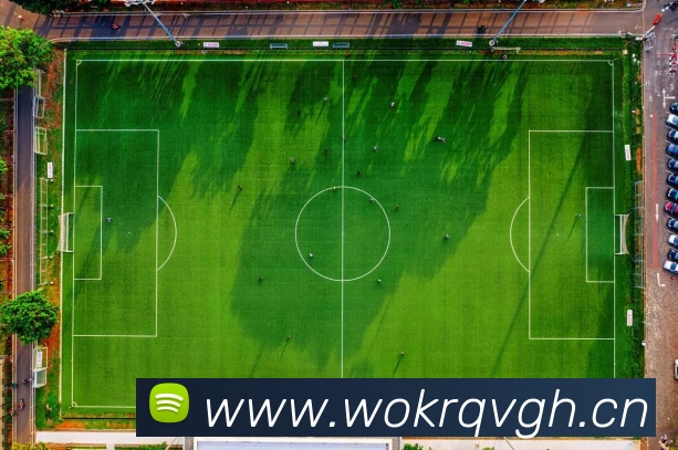 数据防护可视化